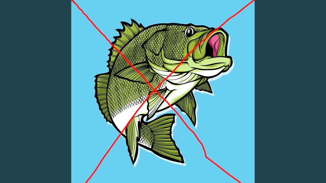 BASS (not the fish)