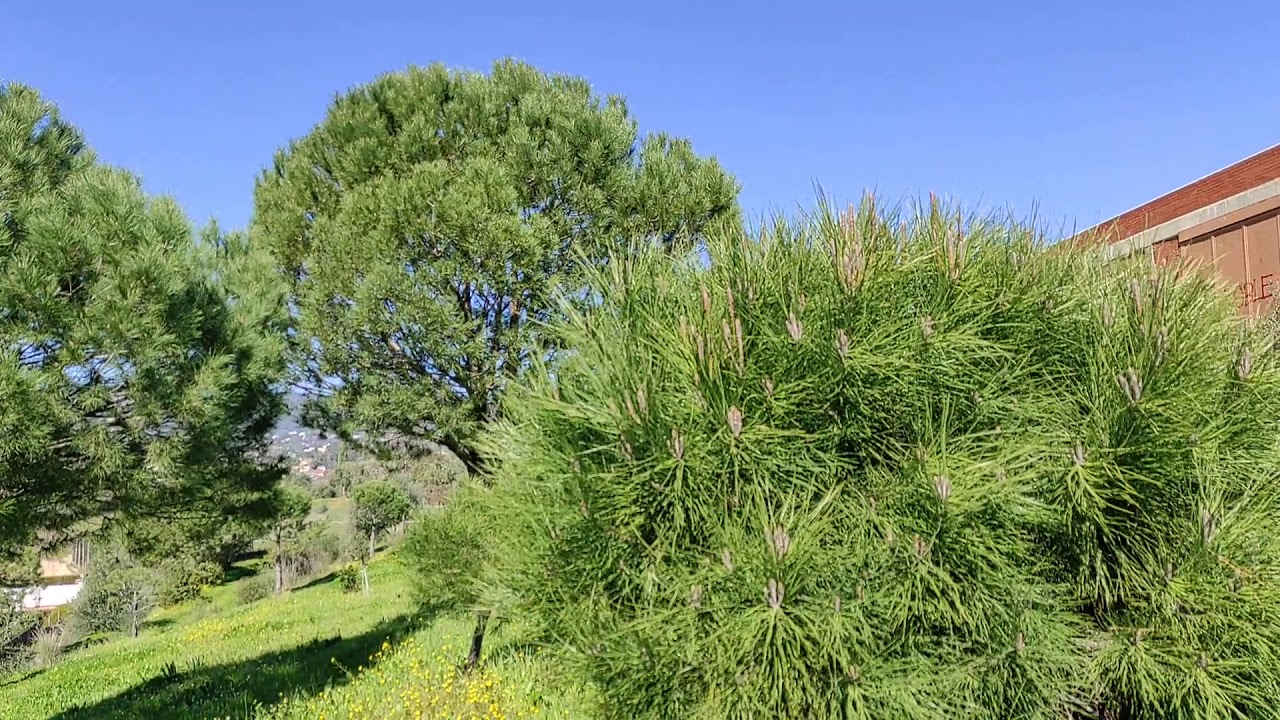 parque de la asomadilla Córdoba.