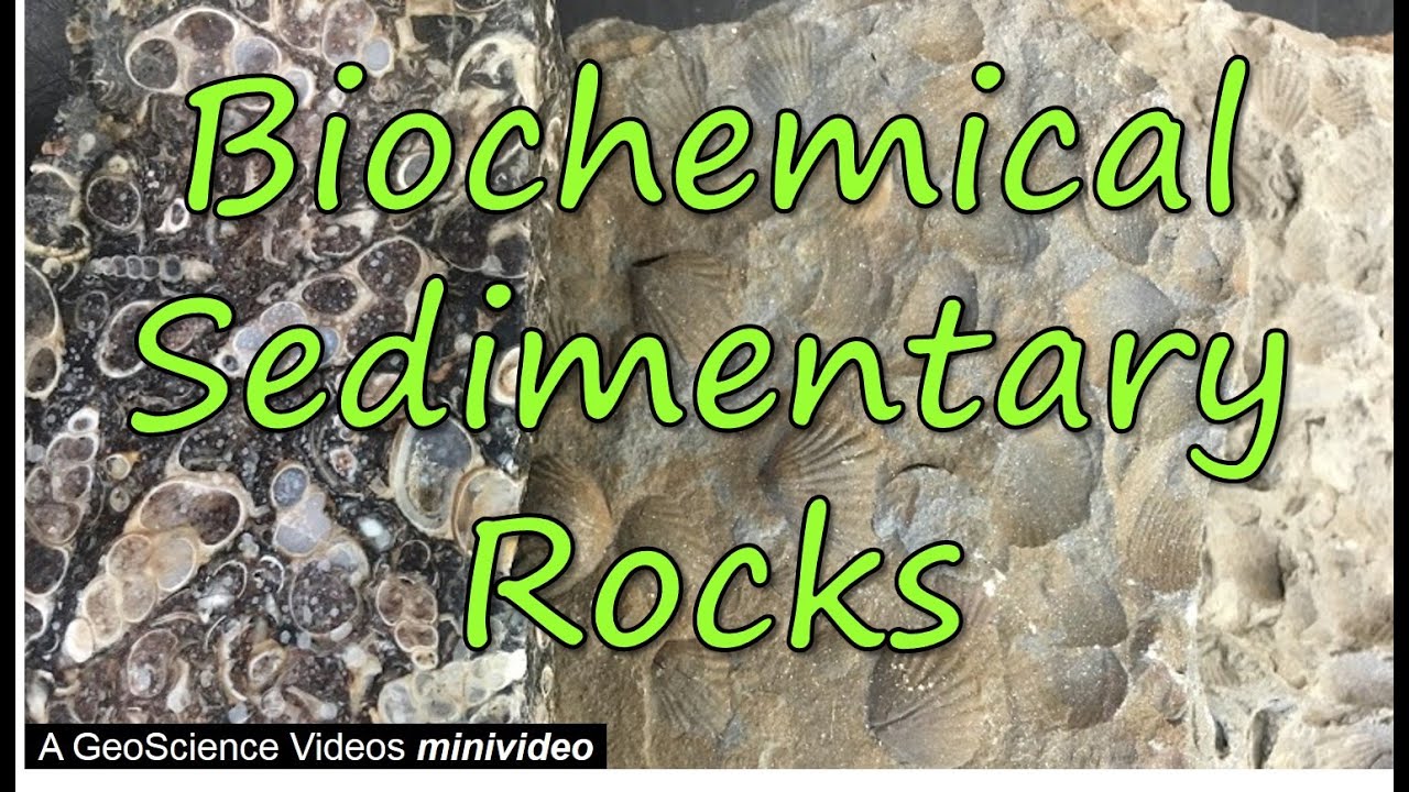 Biochemical Sedimentary Rocks