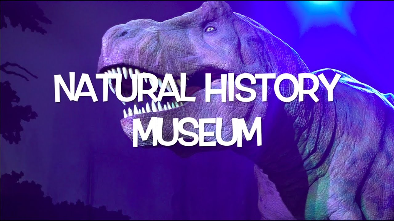 LONDON VLOG #3 / NATURAL HISTORY MUSEUM / T-REX