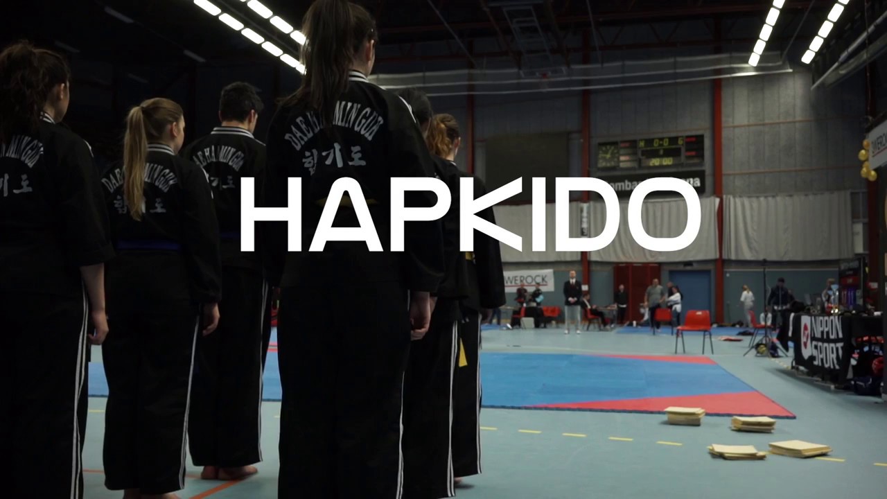 Hapkido demonstration at Swedish TKD Mastership 2017