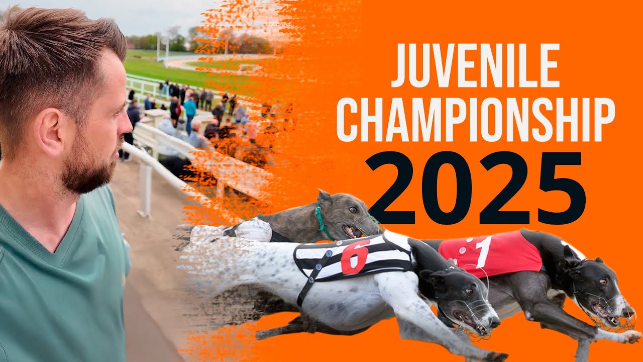 The BIGGEST BET of my life! Join me at the English Greyhound Derby!