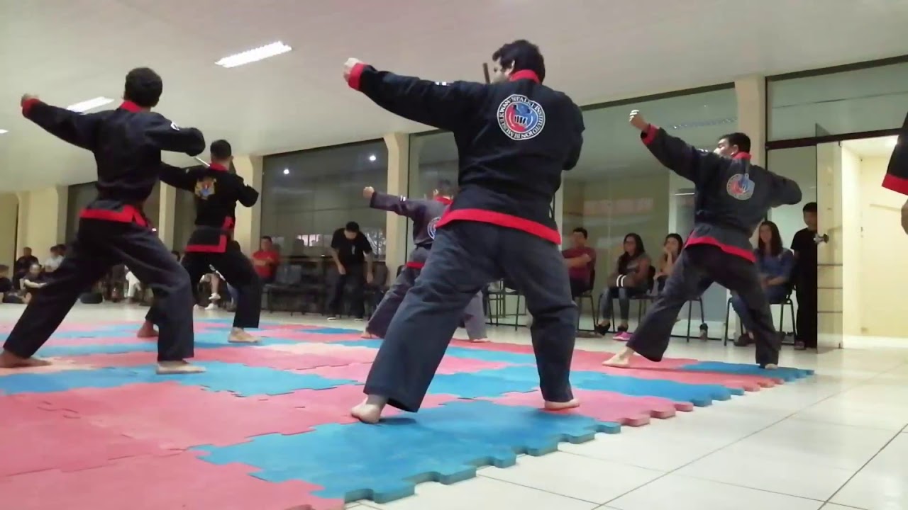 Master Park. Examen Danes y Kup 21/12/2019 - PY