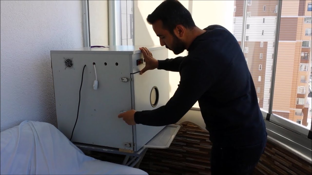 Kuluçka makinemizde çıkım oranımız ve Civciv büyütme kafesine transfer