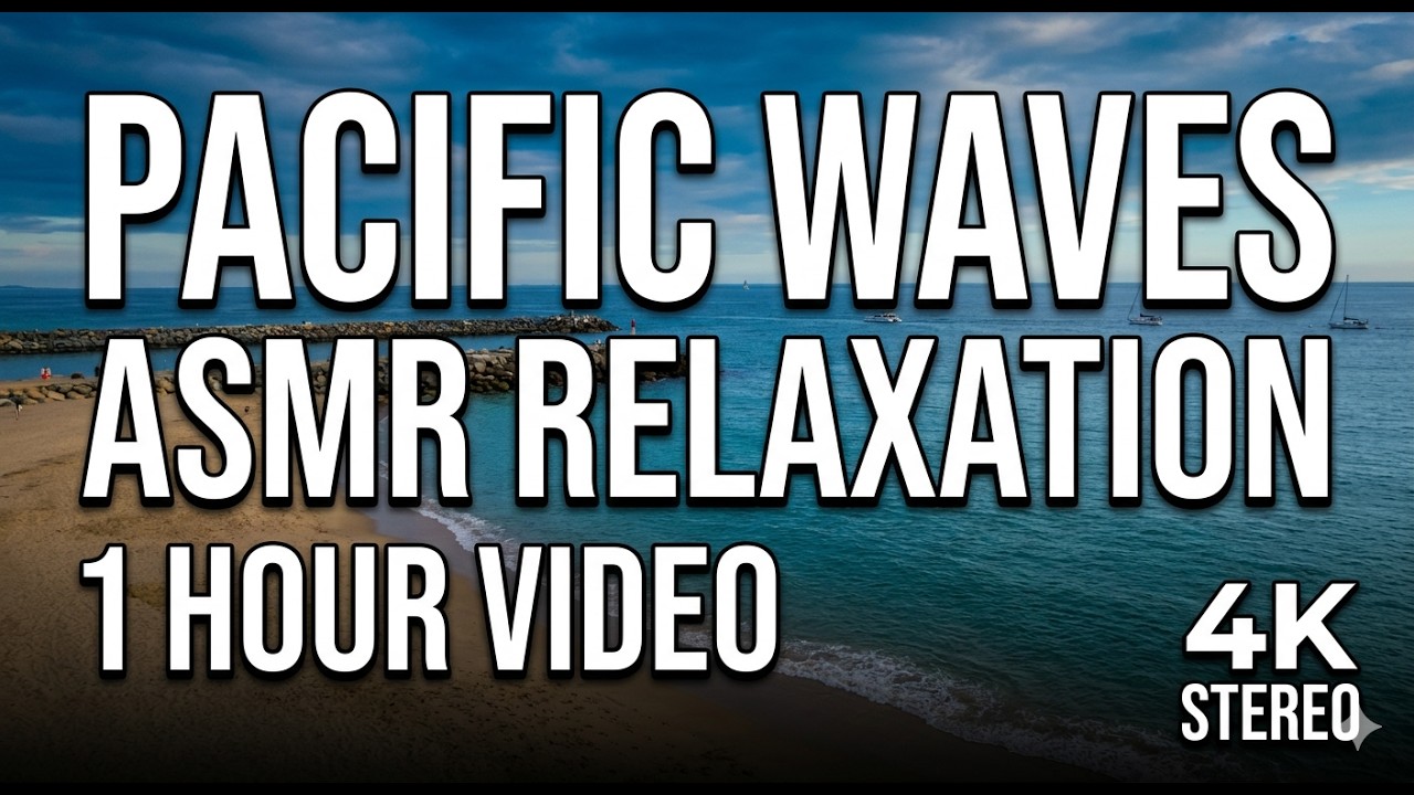 Pacific Ocean Waves | 1 Hour ASMR for Sleep & Relaxation | RockNRollBeach