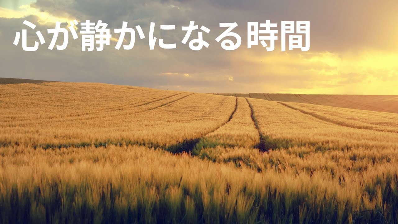 心が静かになる朝｜ゆっくり流れる自然風景と癒しの時間