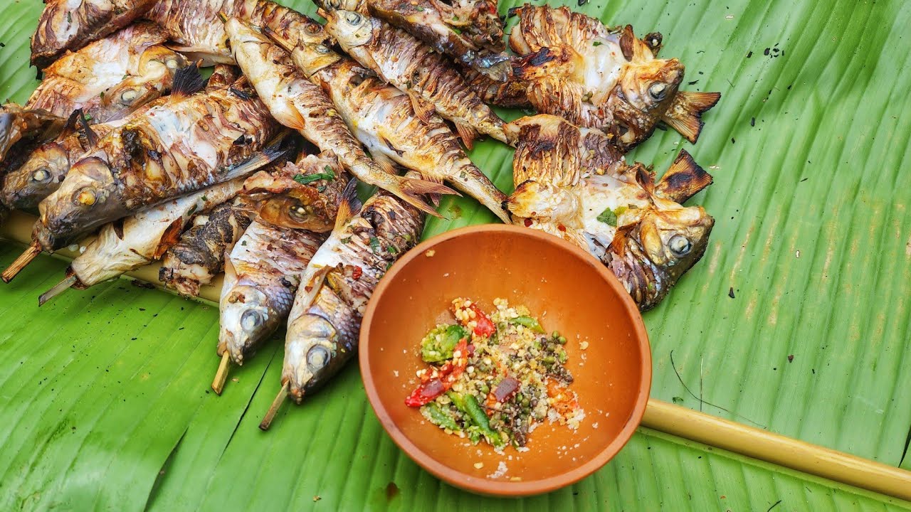 CƠM RỪNG • Rừng Mùa Đông - T4