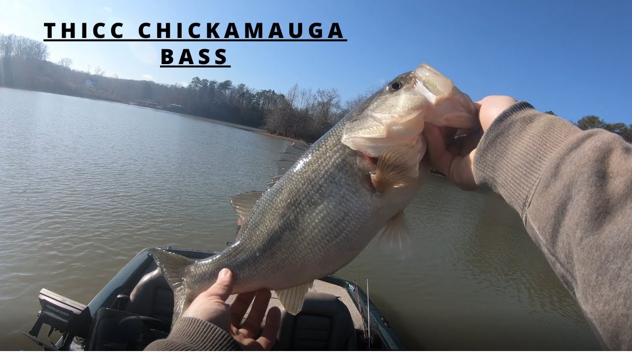 1-5-2020 Catching Fish On A Muddy Chickamauga