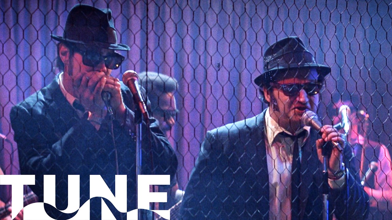 The Blues Brothers Perform 