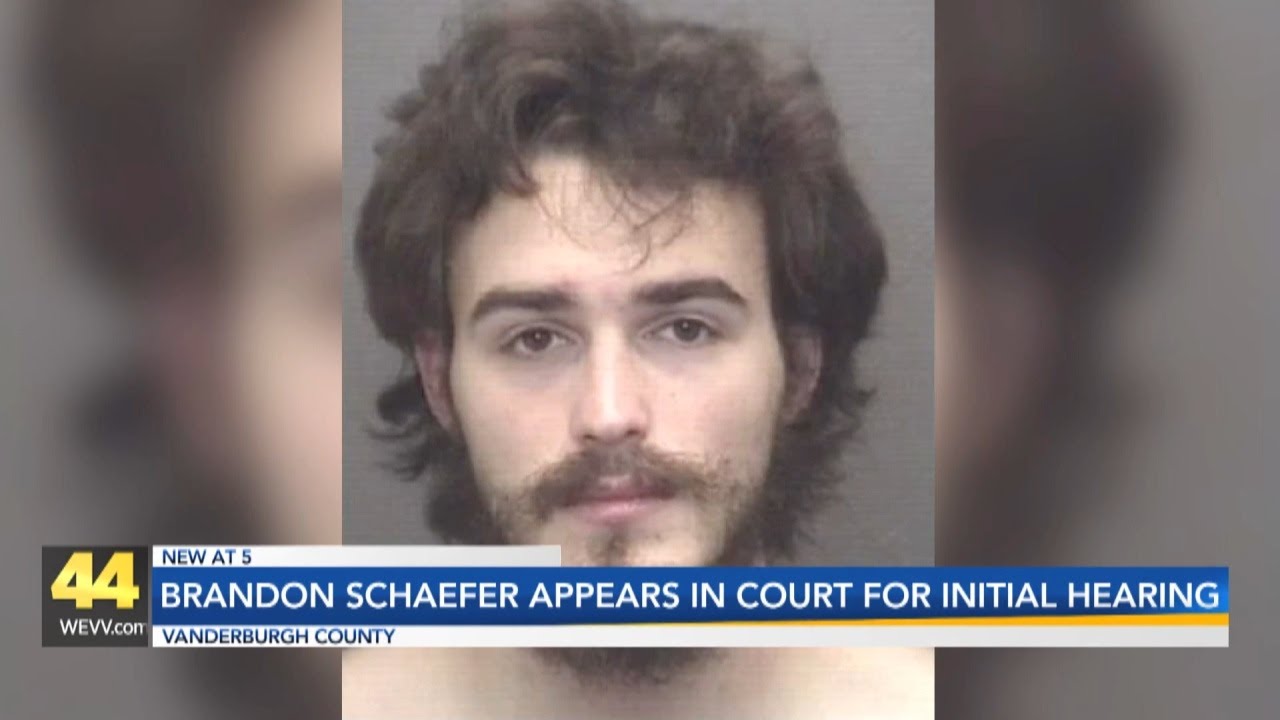 Brandon Schaefer appears in court for initial court hearing