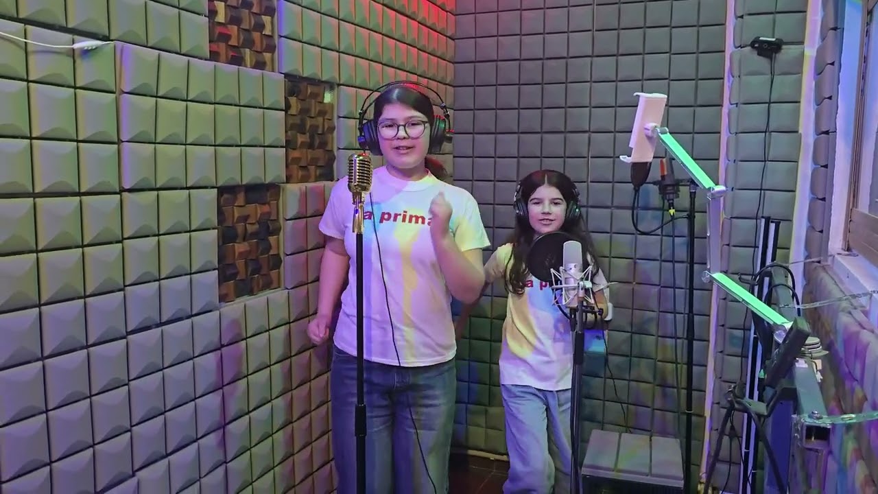 ლიკუნა და ანა სახიაშვილები/gameboy