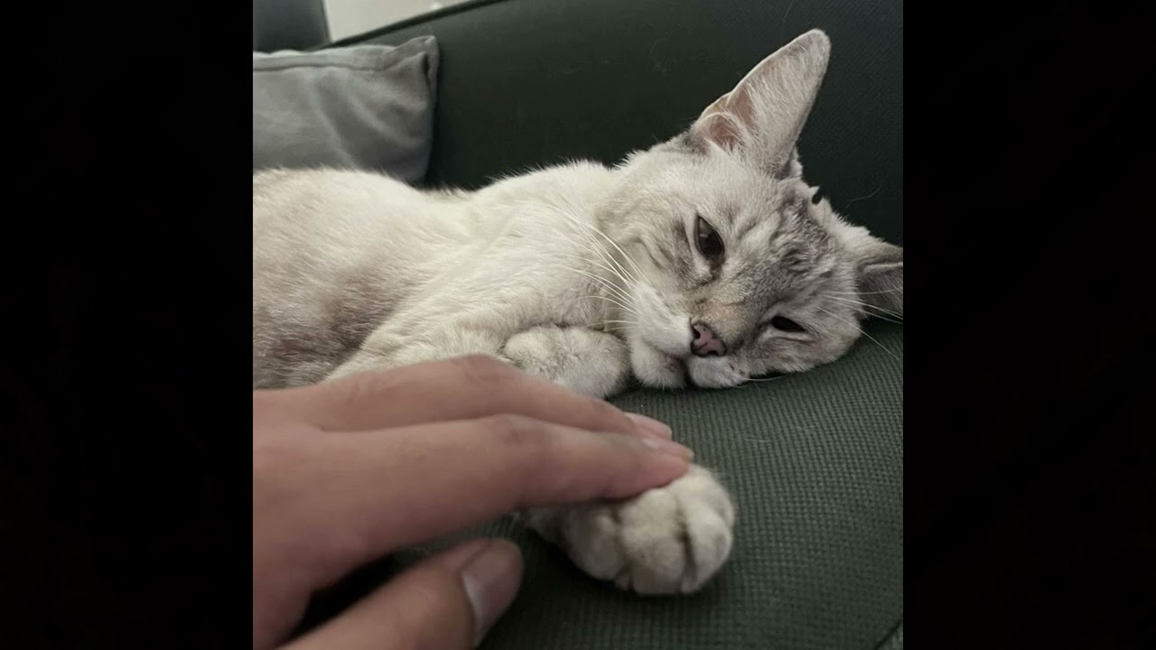 Goodnight