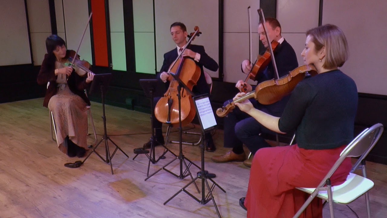 Air on the G String, Bach - Capital String Quartet
