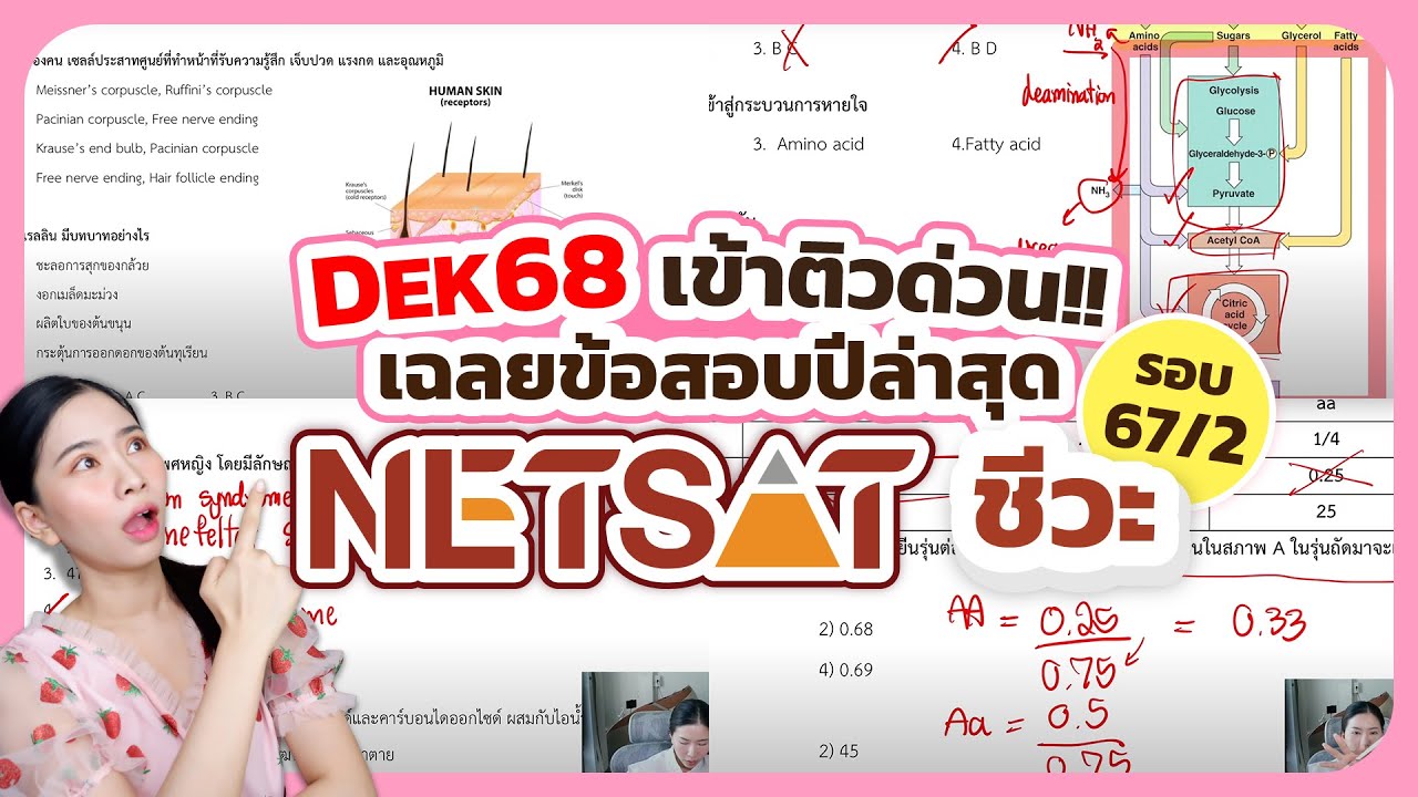 เฉลยข้อสอบจริง Netsat ปีล่าสุด ⎮ชีวะครูฝ้าย Easybio