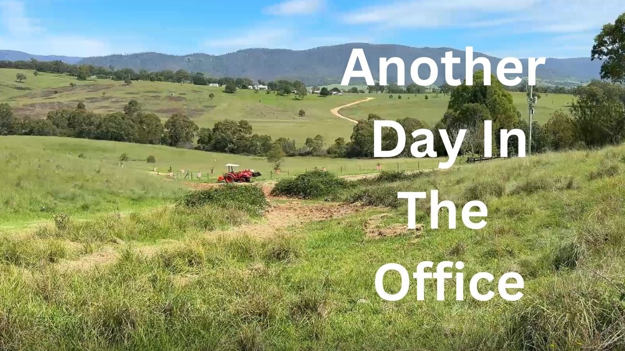 Ещё один рабочий день в офисе - Aussie Homestead