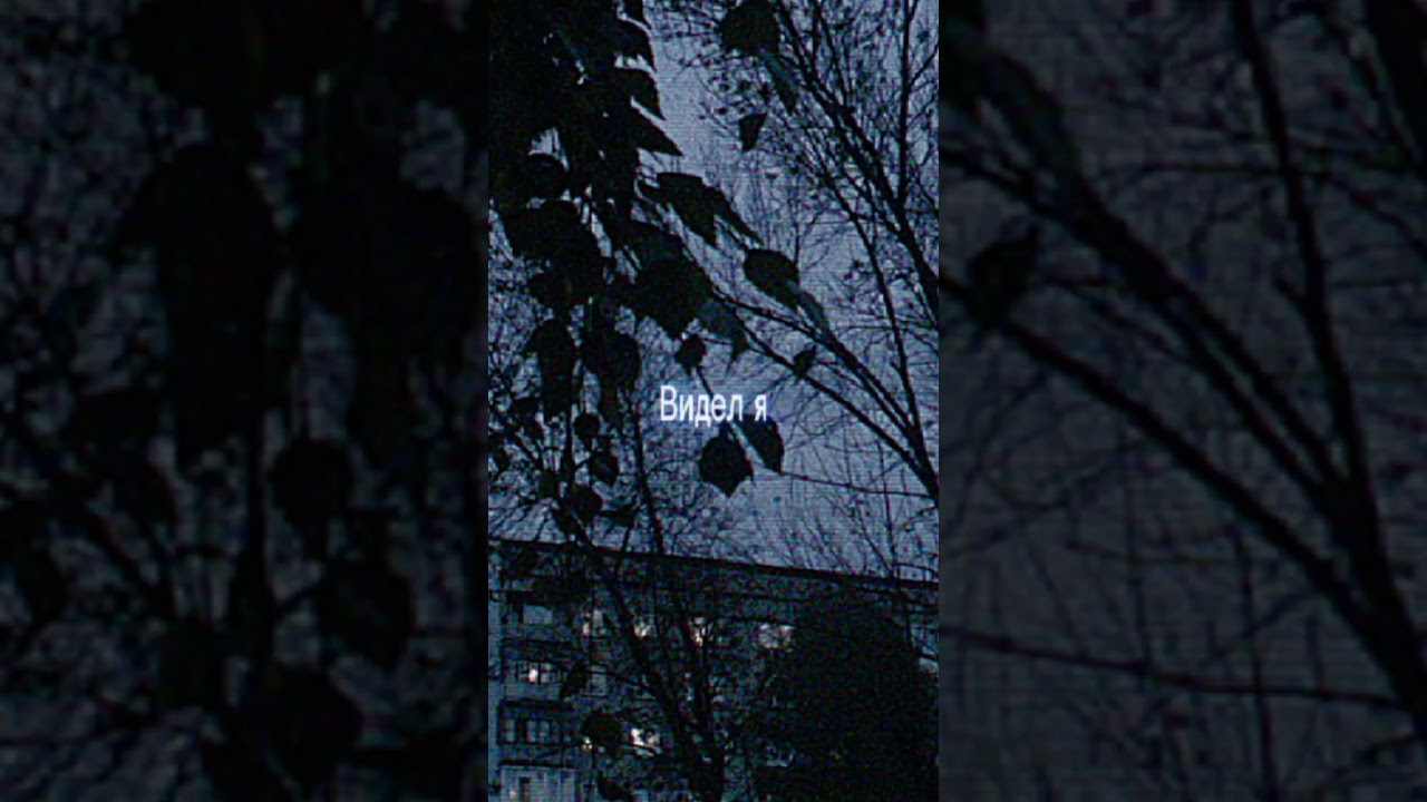 тгк: kaktysik42 