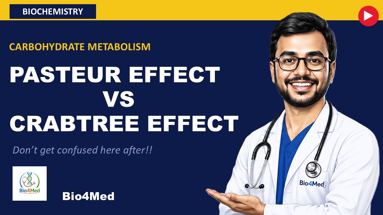 Pasteur vs Crabtree Effect. Do Both Affect Glycolysis?