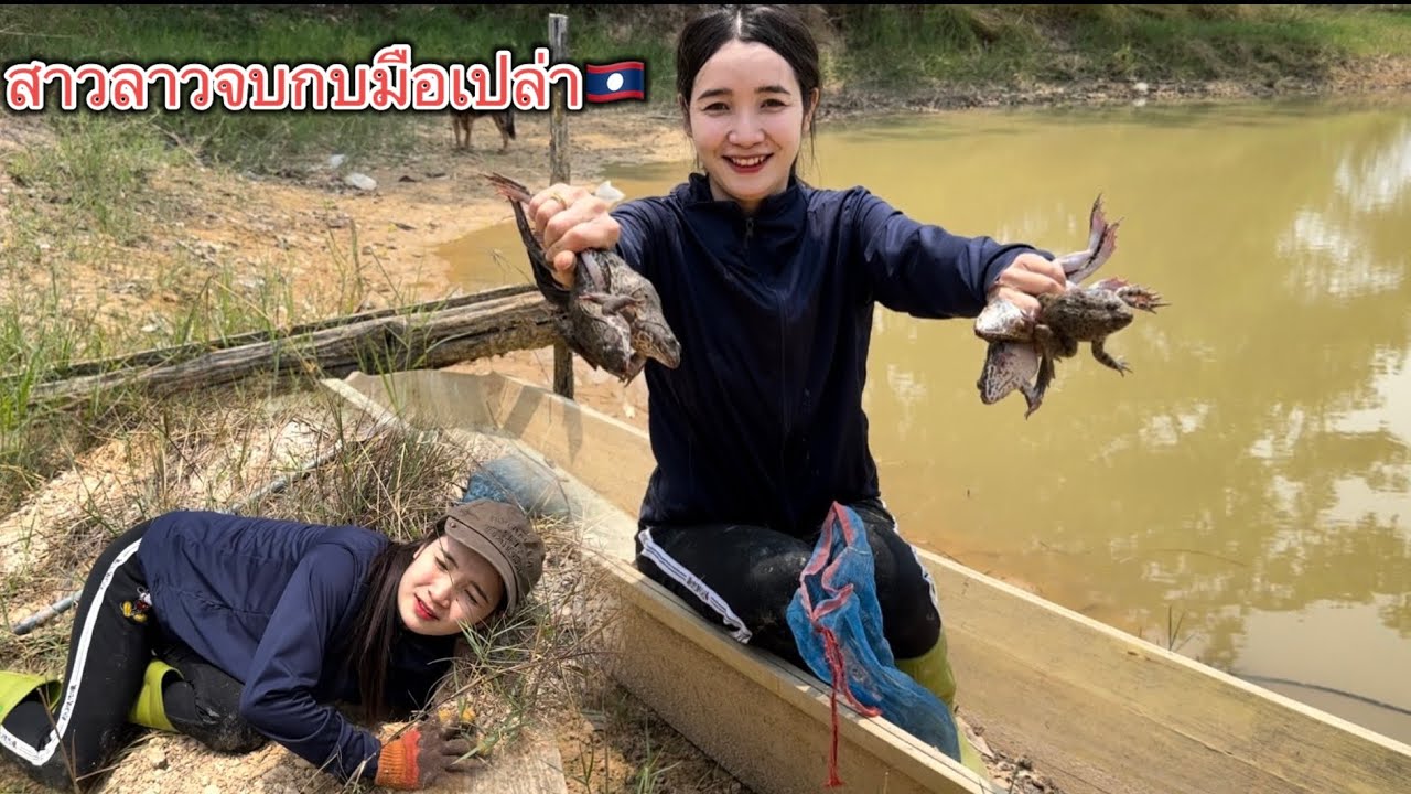 ในบ่อเรามีกบตัวใหญ่มาก ไม่ต้องออกไปหาที่ไหนไกล ตกใจอย่างแรงเมื่อเจอ‼️