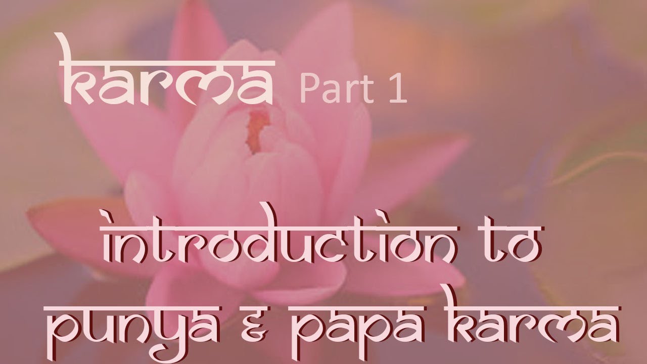 What is Karma, Punya & Papa ? No Sin in Hinduism and no Sinner.