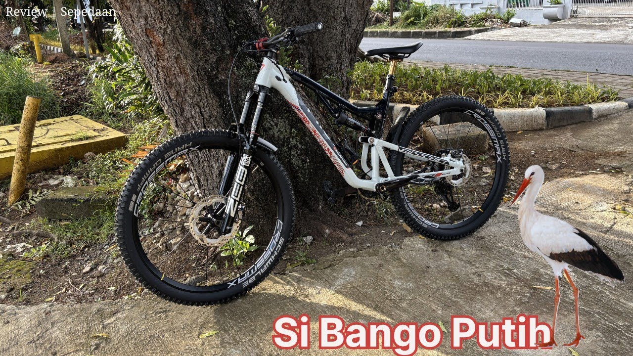 Si Bango Putih a.k.a Thrill Ricochet T120 Elite