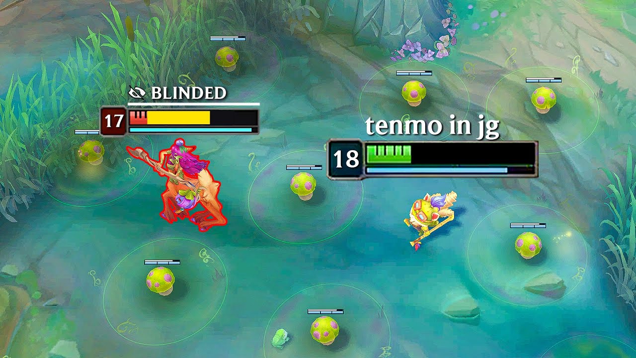 TEEMO JG, EXCEPT I OWN THE ENTIRE JUNGLE