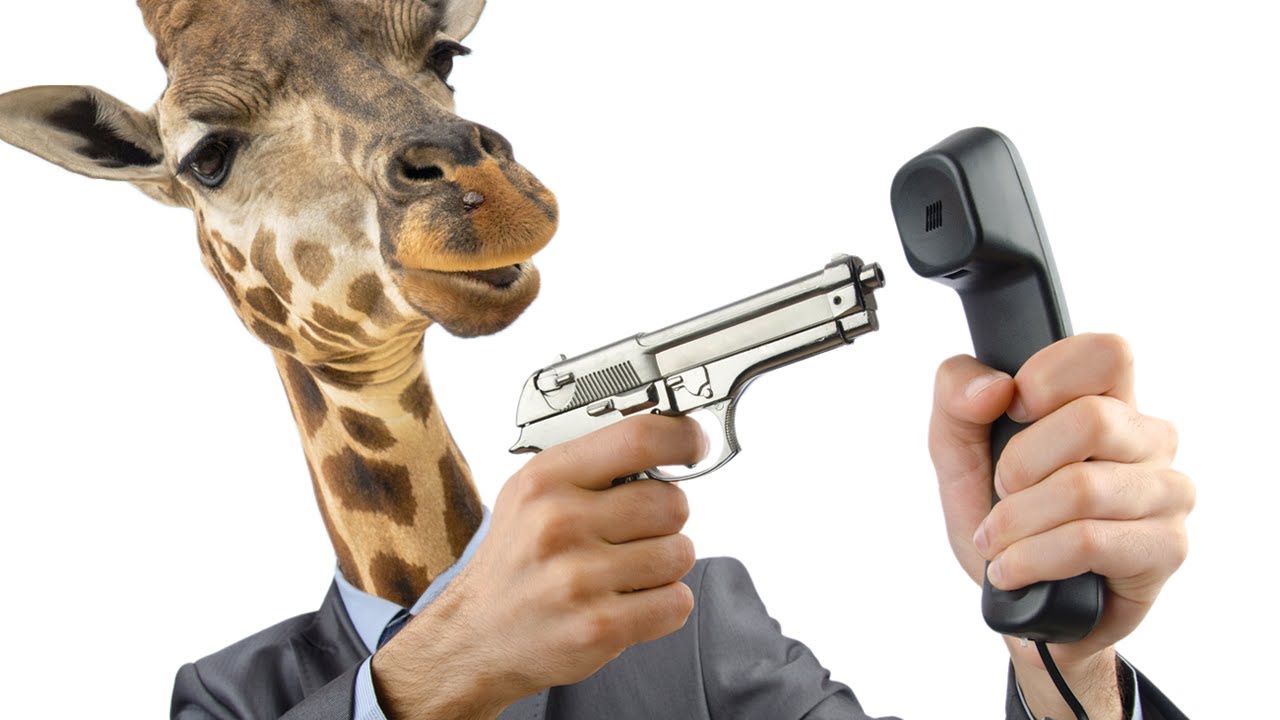 Jerma is 𝘍𝘪𝘯𝘦 part 0.85