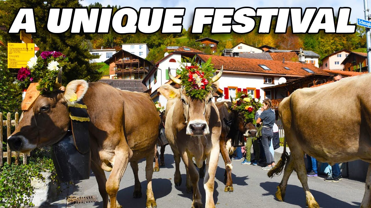 Bohinj Cow Festival: Traditional Cow's Ball 2008 Slovenia