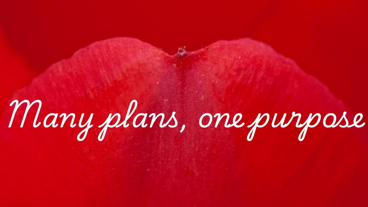 Many plans, one purpose - A message By Pastor Rachel