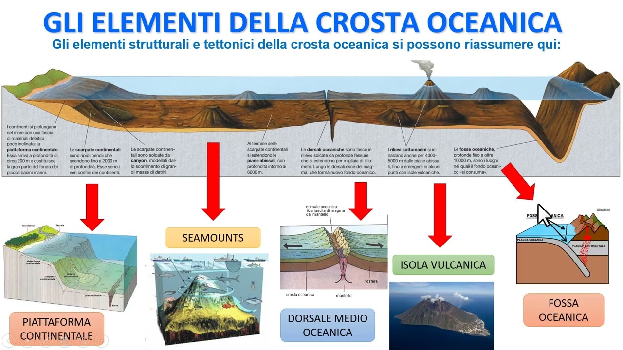 IL PROFILO TIPICO DI UN FONDALE OCEANICO