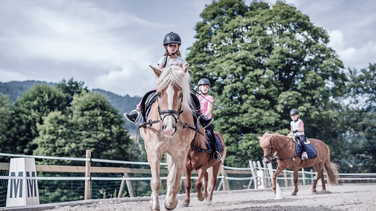 Die Reitakademie | Familienresort Ellmauhof