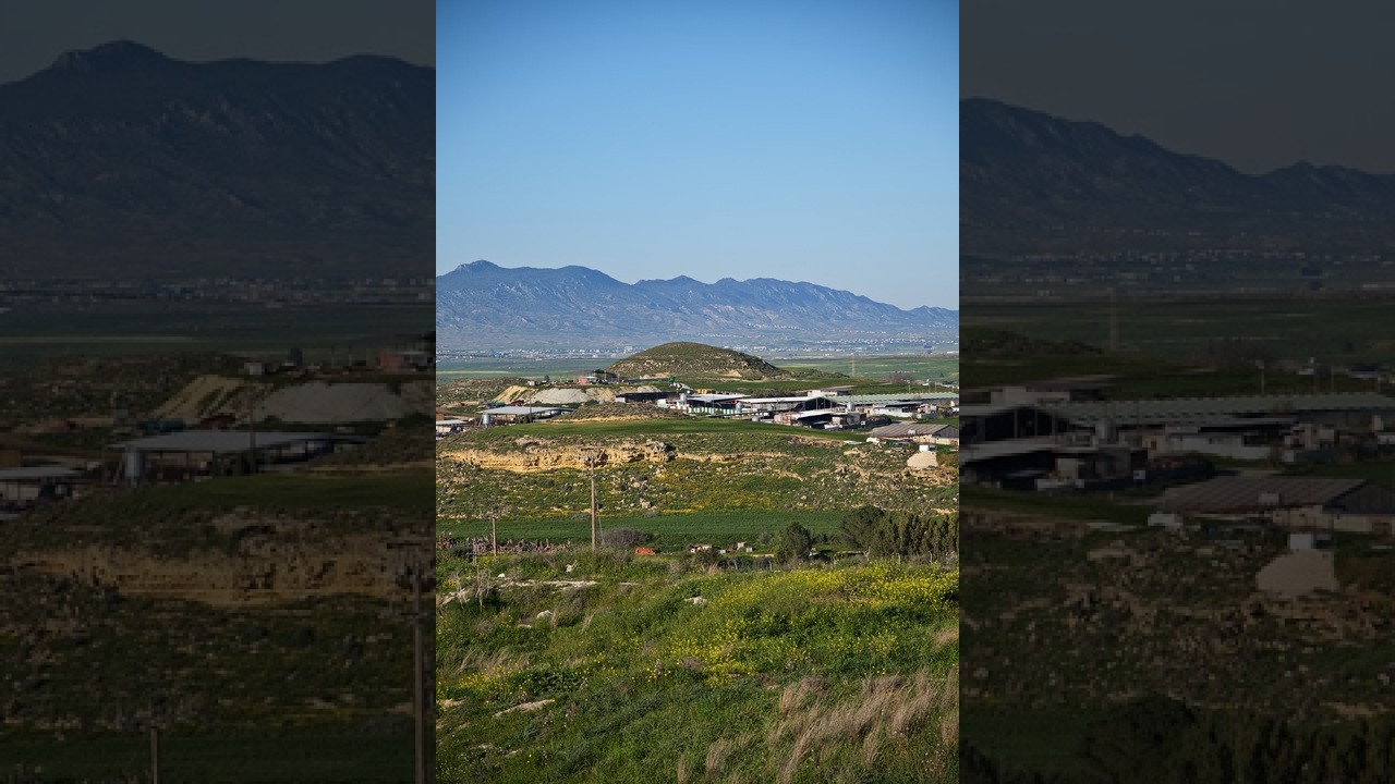 2026.03.02 Overlooking Geri: A Hilltop View