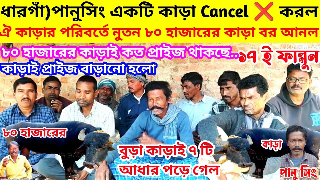 পানুসিং একটি কা*ড়া Cancel❌করল,ঐ কা*ড়ার পরিবর্তে নুতন ৮০হাজারের কা*ড়া বর আনল,বুড়াই ৭টি আধার পড়ল👈