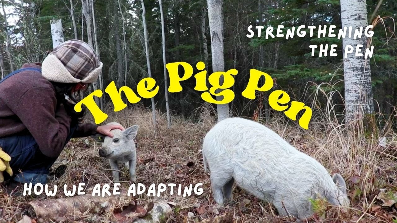 Our Pig Pen DIYs and How We Adapted
