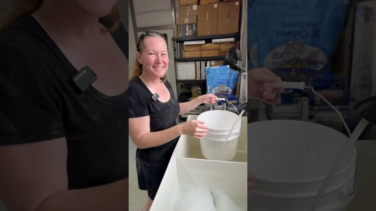 Honey Bee Syrup Making And Feeding Live