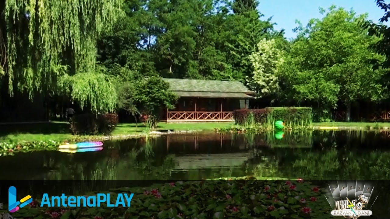 Paradis verde la Ogrezeni. Echipa Neatza a ajuns la fermă | Neatza