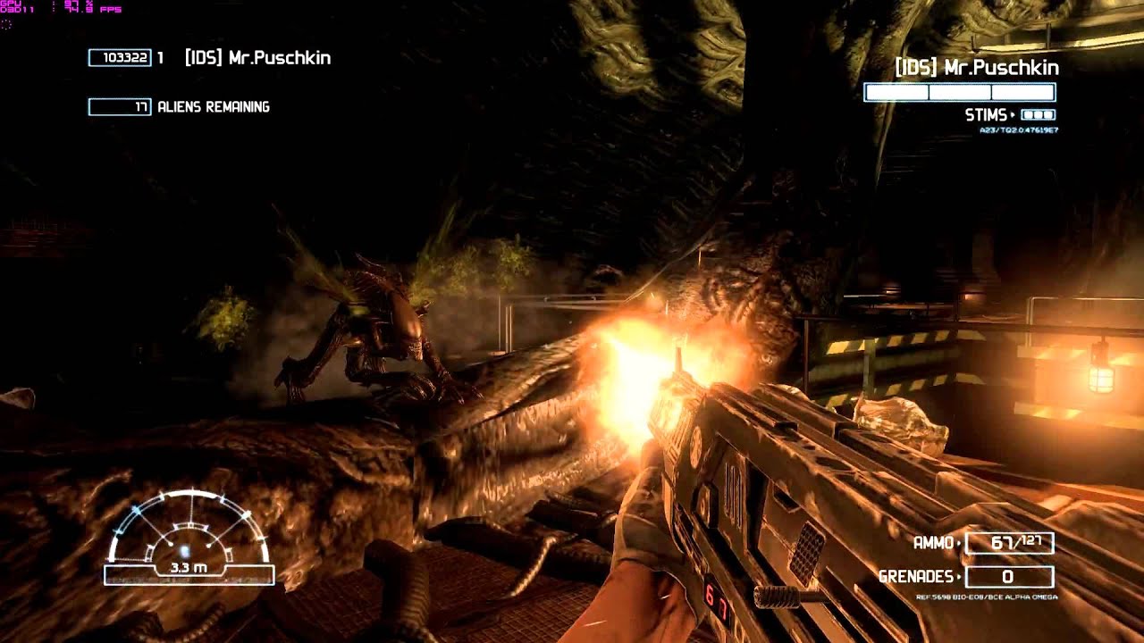 AvP 2010 survival hive