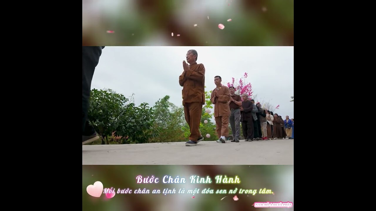 BƯỚC CHÂN KINH HÀNH - Mỗi bước chân an tịnh là một đoá sen nở trong tâm