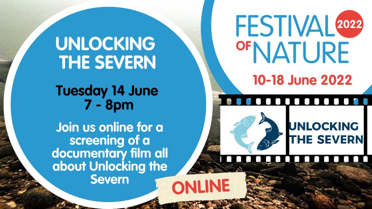 Unlocking the Severn