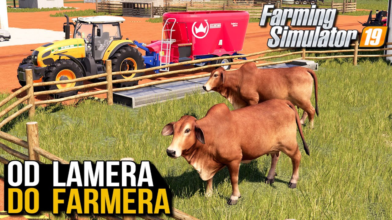 Hodowla krów i owiec (od Lamera do Farmera) | Farming Simulator 19 | #8