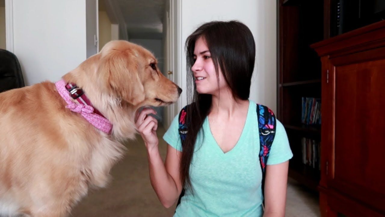 Giving My Service Dog the Day Off 🐾 (9/16/17)