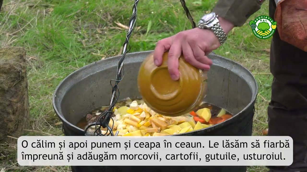 TOCĂNIȚĂ DE MISTREȚ de la MOȘNA