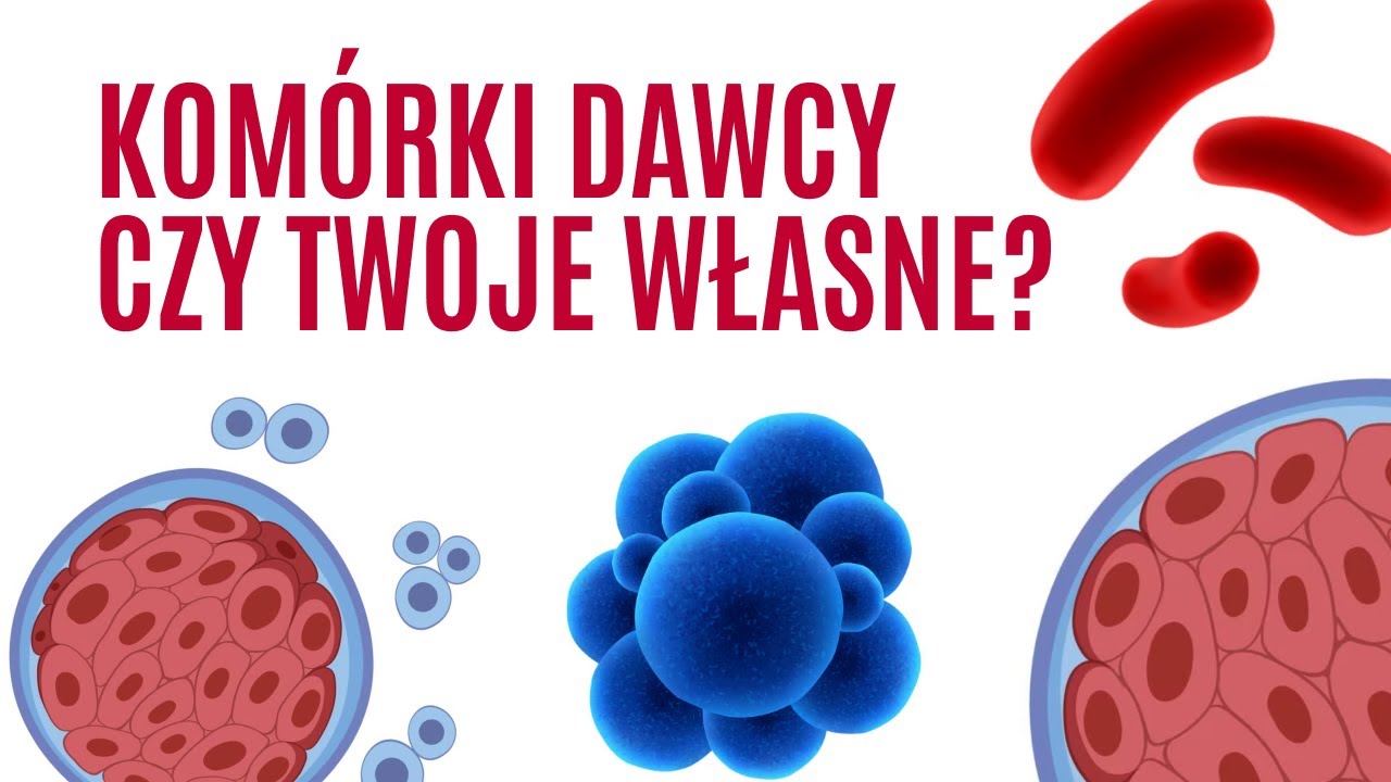 Komórki dawcy vs. własne komórki — co jest najlepsze dla terapii komórkami macierzystymi?