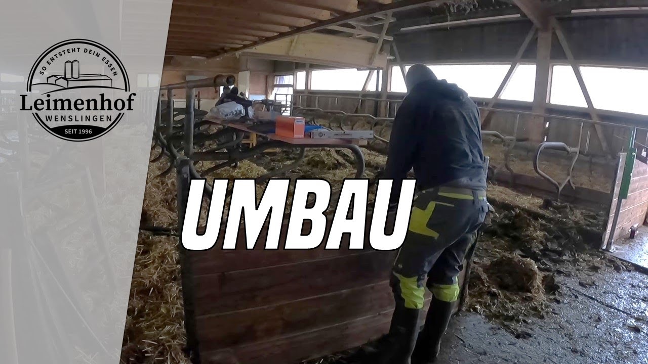 Mehr Platz für die Mutterkühe - So entsteht dein Essen #220