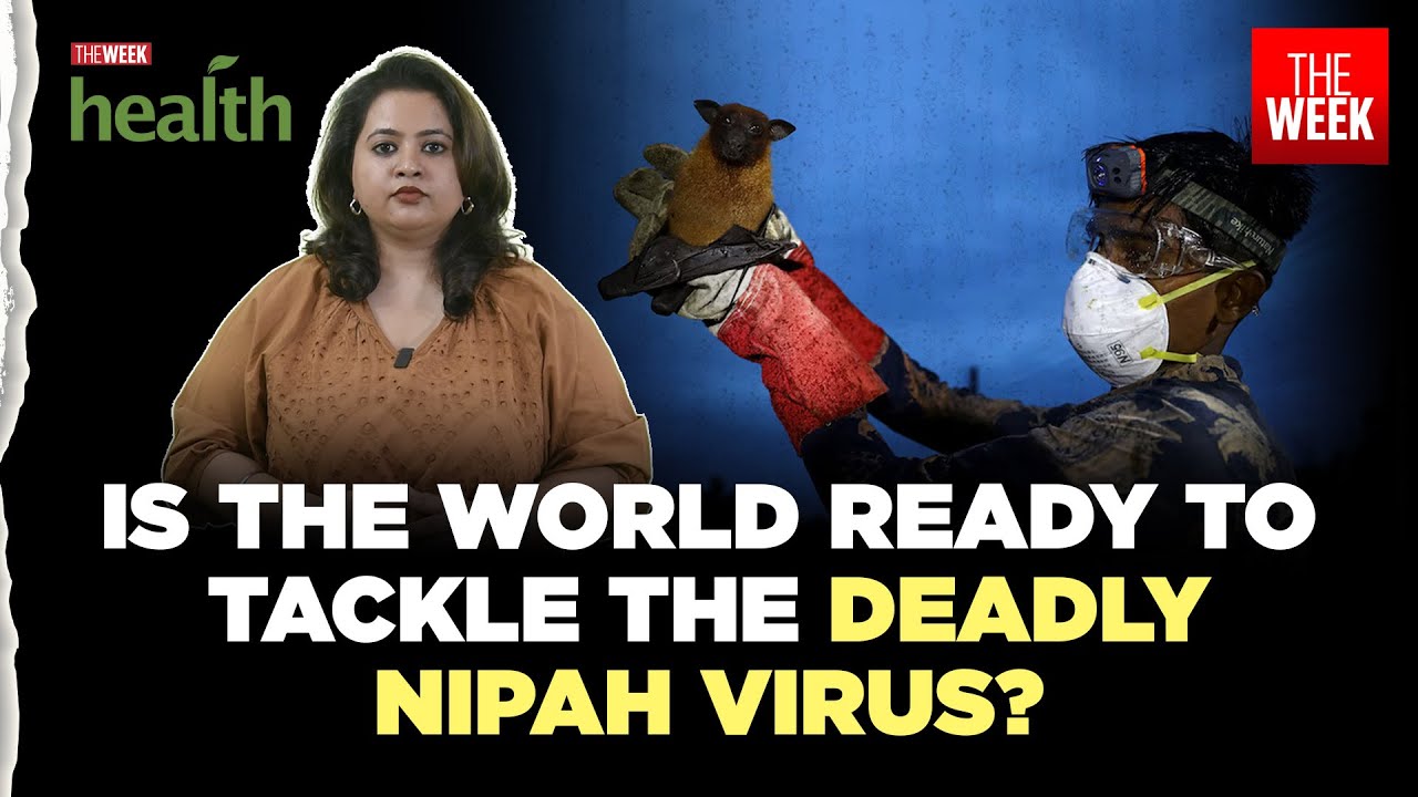 Nipah virus update: India cases and global precautions explained | Health Decoded with THE WEEK
