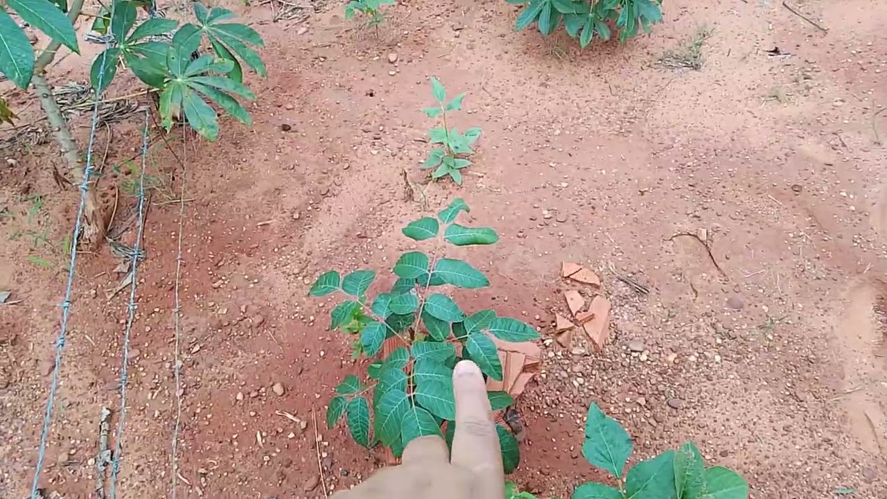 Tour pela construção da minha casa