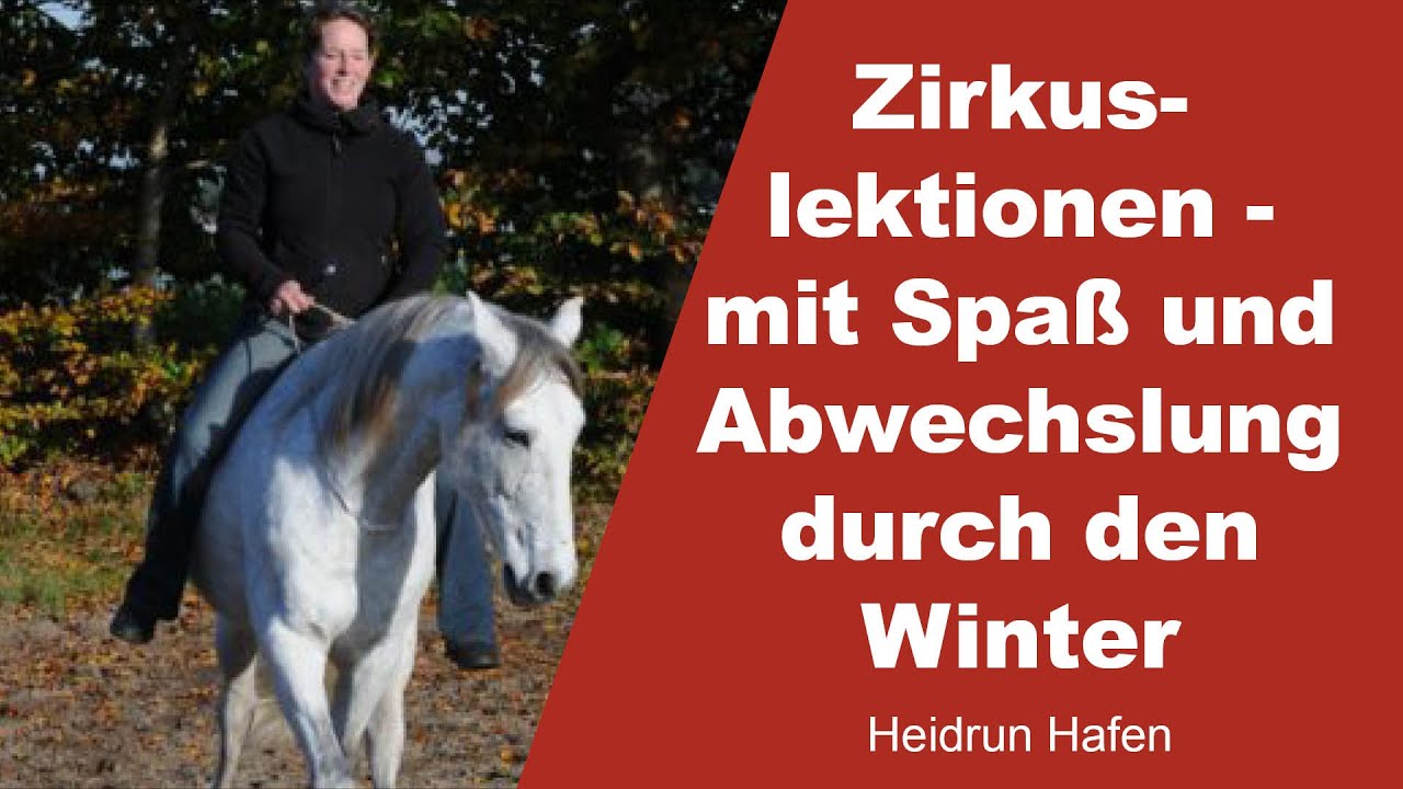Zirkuslektionen Pferd - mit Spa&szlig; und Abwechslung durch den Winter - Heidrun Hafen - 1