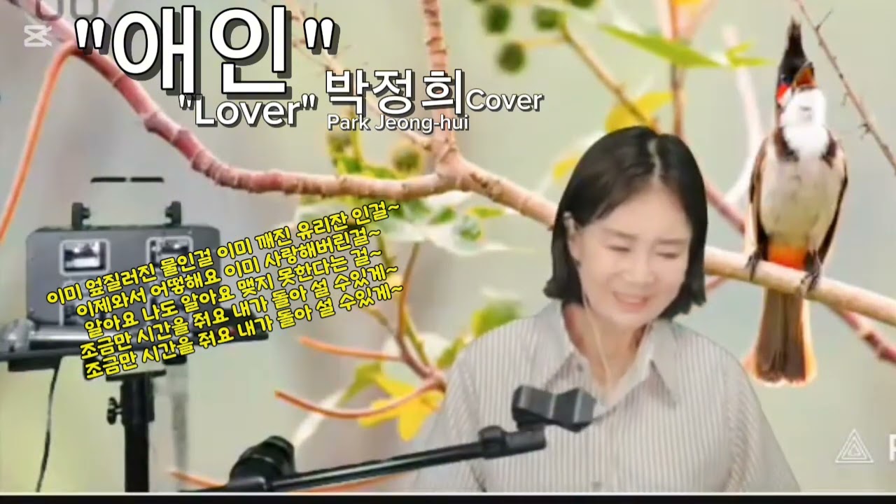#박정희#애인(원곡)#태진아 