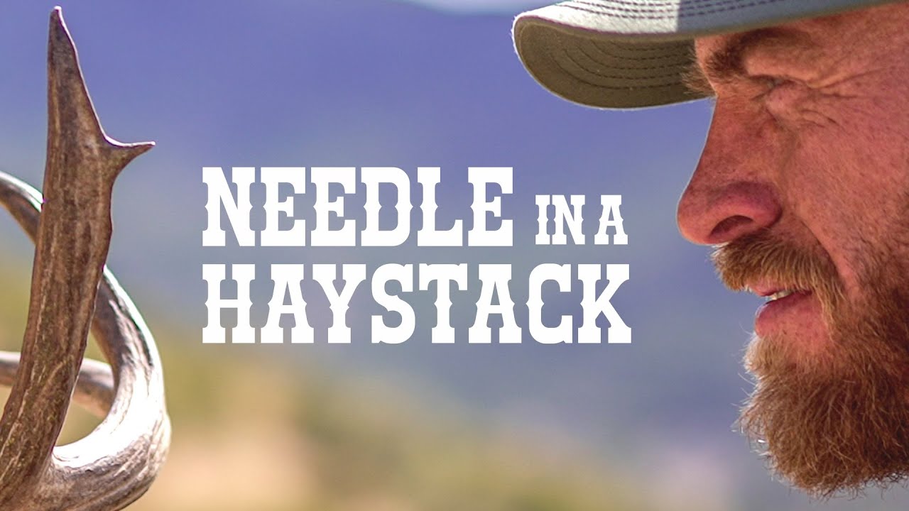 NEEDLE IN A HAYSTACK | GIANT COUES DEER | 🎬 GRITTY 4K FILM | BUCK HUNT