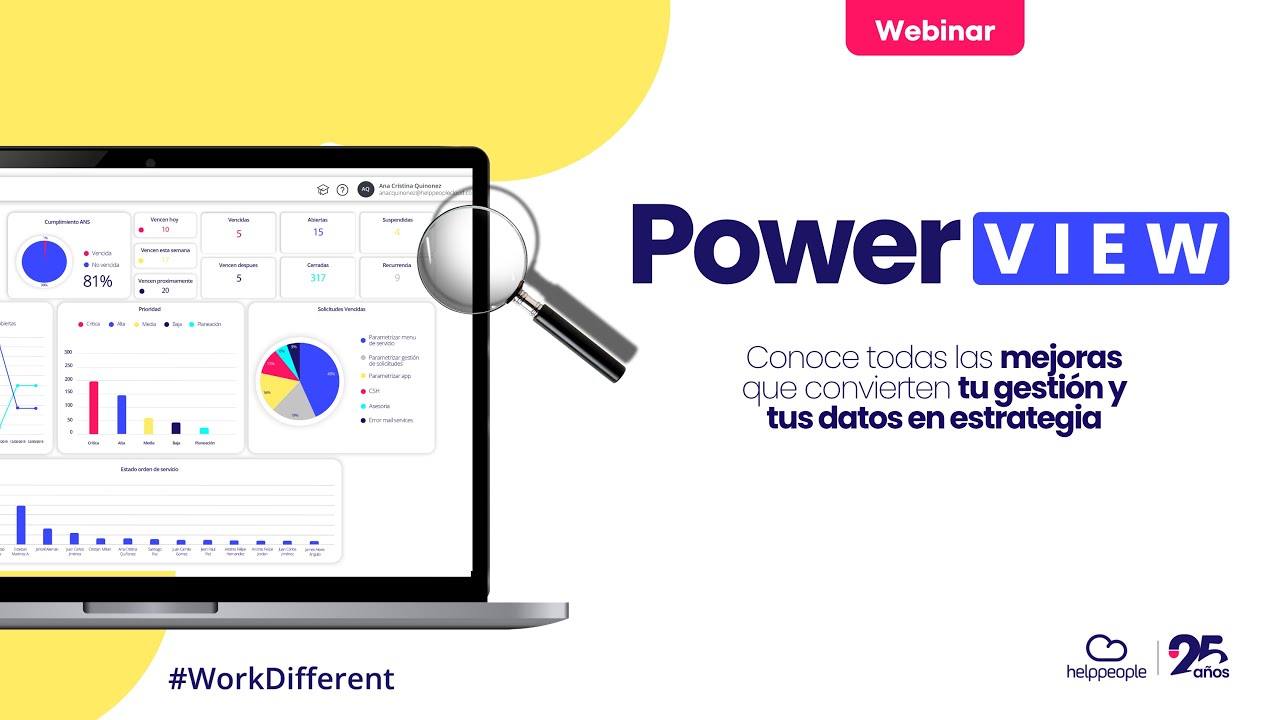 Webinar Power View