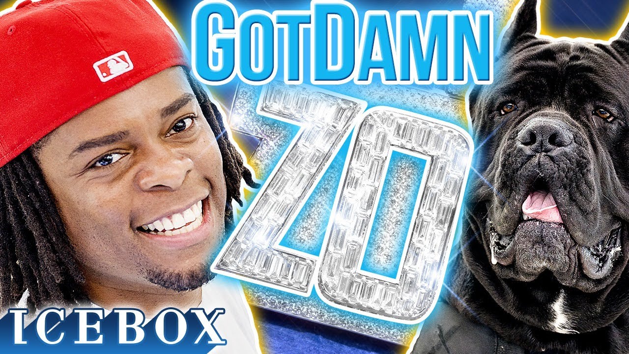 GotDamnZo Brings His Dog to Pick Up New Baguette Chain at Icebox! 🐶